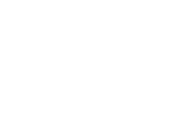 Logo Digital Nomads Madeira Islands