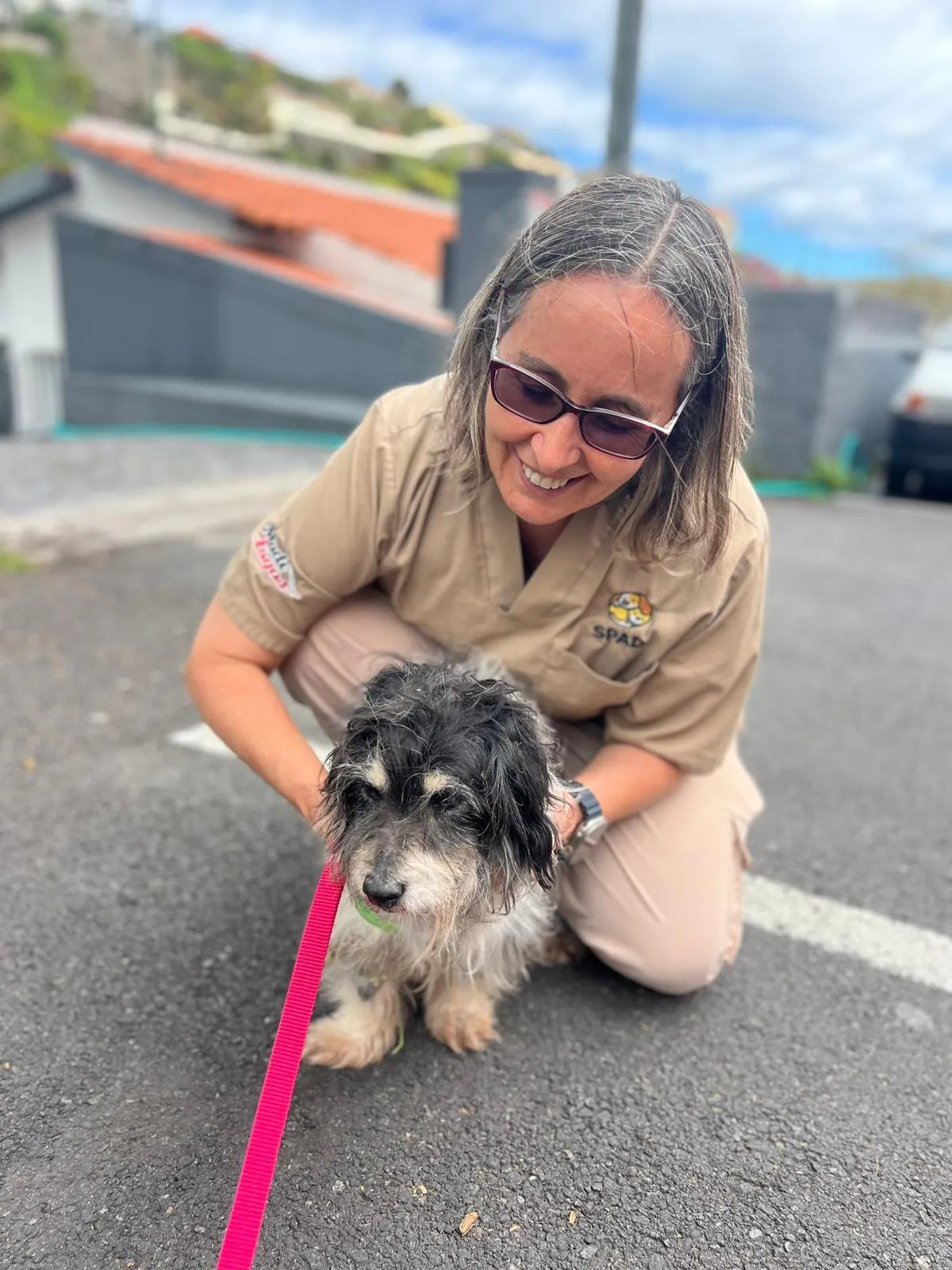 Dog walking with SPAD shelter dogs in Madeira